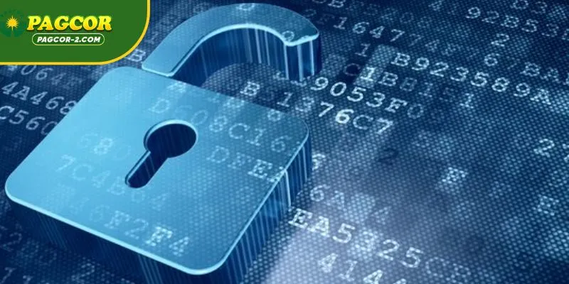 Future Evolutions in Digital Privacy