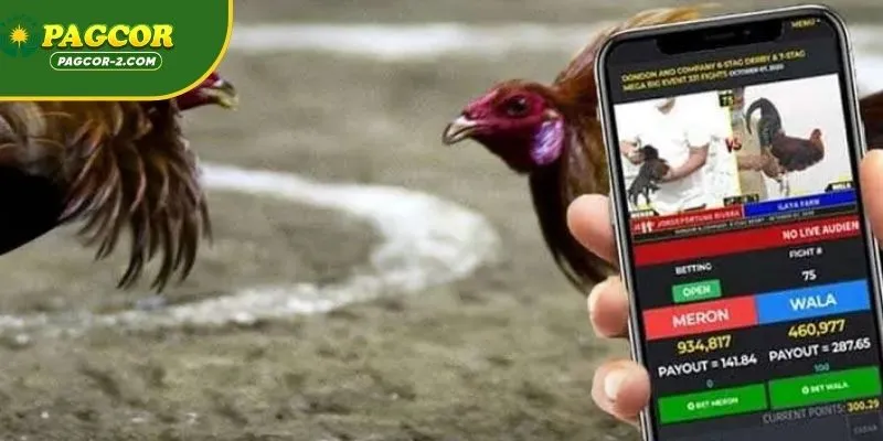 Why the Search for an Online Sabong alternative is Growing
